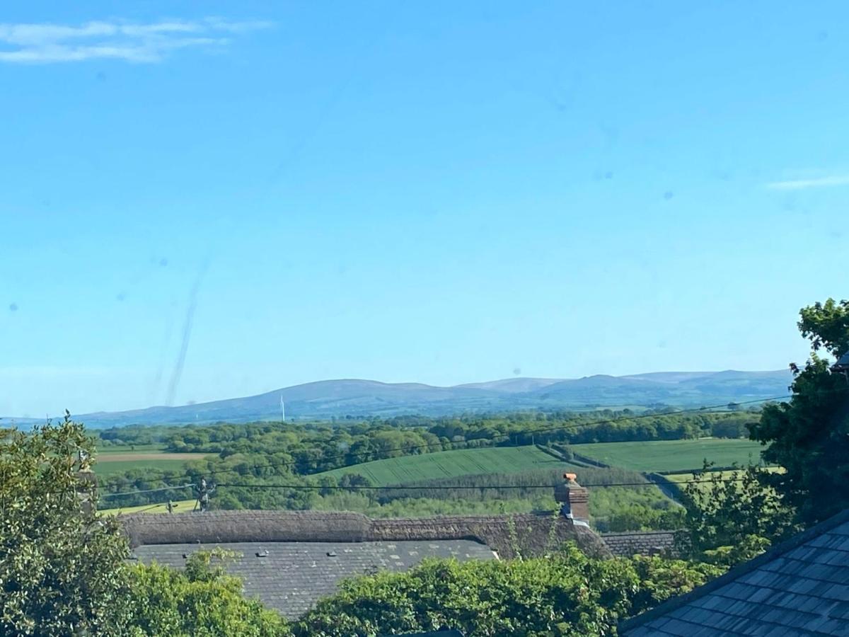 Higher Primrose Cottage Winkleigh Esterno foto