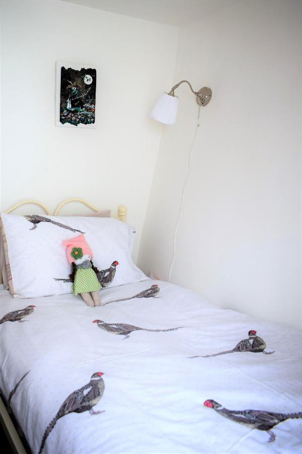 Higher Primrose Cottage Winkleigh Esterno foto